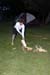 _ADN4082
